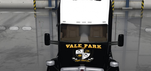 Port Vale Skin T860 – Home Colours